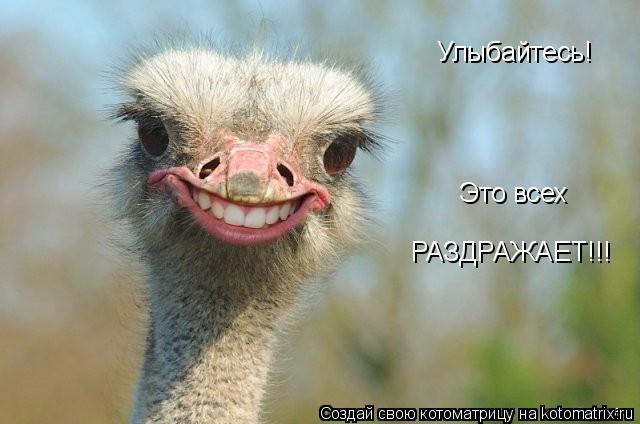 Улыбайтесь! Это всех РАЗДРАЖАЕТ!!!... Котоматрица: Улыбайтесь! Это всех РАЗДРАЖАЕТ!!!