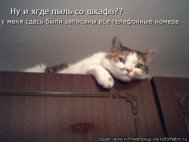 Ну и хгде пыль со шкафа?? у меня сдесь были записаны все телефонные номера... Котоматрица: Ну и хгде пыль со шкафа?? у меня сдесь были записаны все телефонные номера