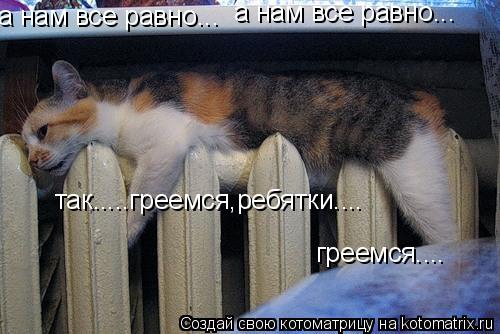 а нам все равно... а нам все равно... так.....греемся,ребятки.... греемся....... Котоматрица: а нам все равно... а нам все равно... так.....греемся,ребятки.... греемся....