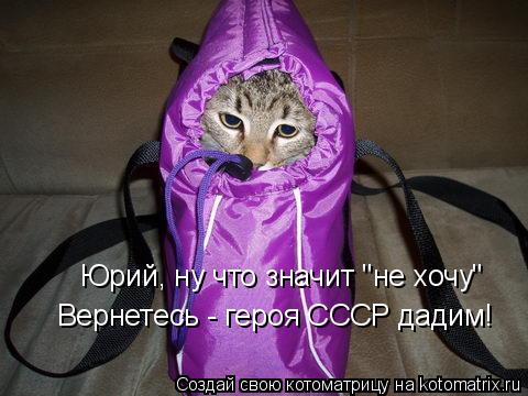 Юрий, ну что значит "не хочу" Вернетесь - героя СССР дадим!... Котоматрица: Юрий, ну что значит "не хочу" Вернетесь - героя СССР дадим!