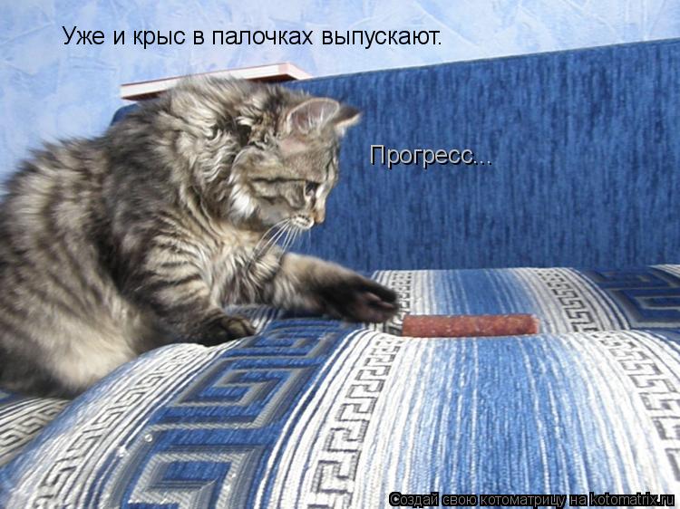 Уже и крыс в палочках выпускают. Прогресс...... Котоматрица: Уже и крыс в палочках выпускают. Прогресс...