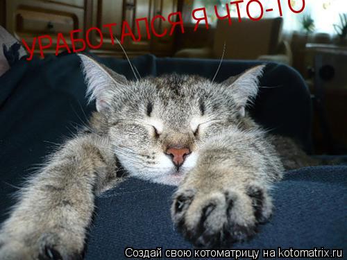 УРАБОТАЛСЯ Я ЧТО-ТО... Котоматрица: УРАБОТАЛСЯ Я ЧТО-ТО