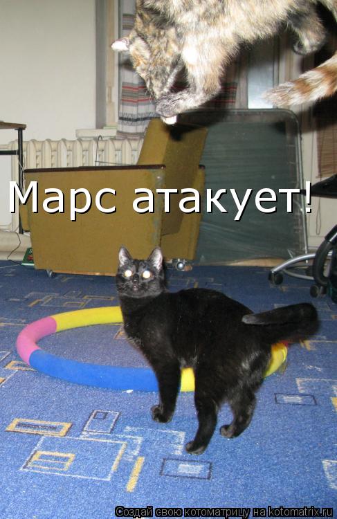 Марс атакует!... Котоматрица: Марс атакует!