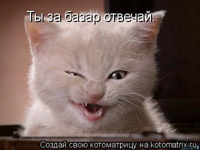 Ты за базар отвечай.... Котоматрица: Ты за базар отвечай.