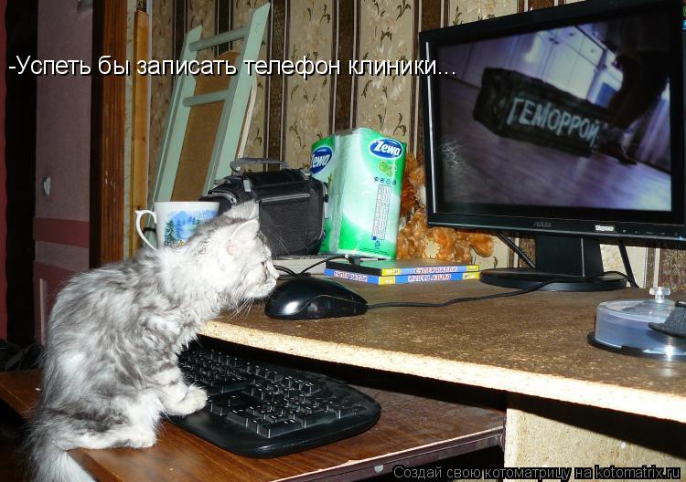 -Успеть бы записать телефон клиники...... Котоматрица: -Успеть бы записать телефон клиники...