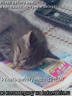 Искал работу муж, а как нашёл, то туже и заснул! Искать работу надо, ДНЕМ!... Котоматрица: Искал работу муж, а как нашёл, то туже и заснул! Искать работу надо, ДНЕМ!