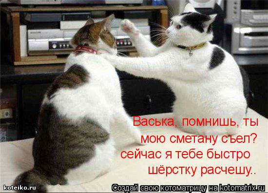 Васька, помнишь, ты мою сметану съел? сейчас я тебе быстро шёрстку расчешу..... Котоматрица: Васька, помнишь, ты мою сметану съел? сейчас я тебе быстро шёрстку расчешу..