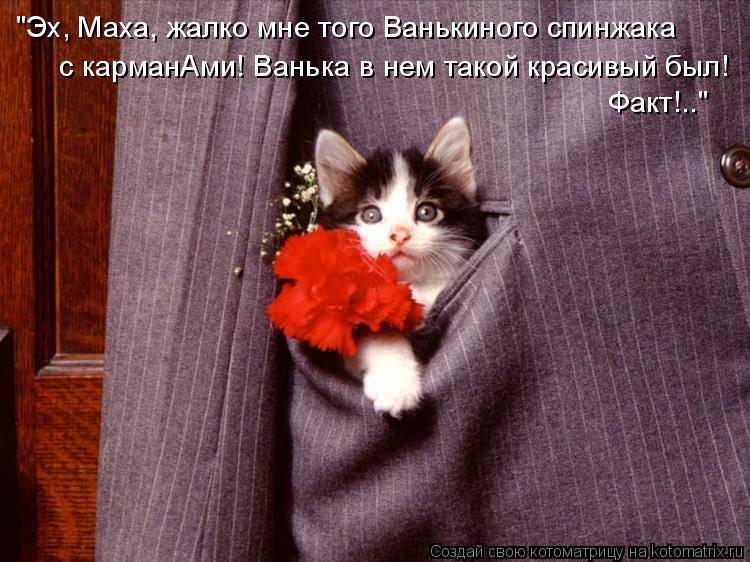 "Эх, Маха, жалко мне того Ванькиного спинжака с карманАми! Ванька в нем такой красивый был! Факт!..... Котоматрица: "Эх, Маха, жалко мне того Ванькиного спинжака с карманАми! Ванька в нем такой красивый был! Факт!.."