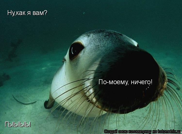 Ну,как я вам? По-моему, ничего! ГЫЫЫЫ... Котоматрица: Ну,как я вам? По-моему, ничего! ГЫЫЫЫ