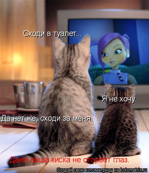 Сходи в туалет... Я не хочу. Да нет же, сходи за меня. Даже ваша киска не оторвёт глаз.... Котоматрица: Сходи в туалет... Я не хочу. Да нет же, сходи за меня. Даже ваша киска не оторвёт глаз.