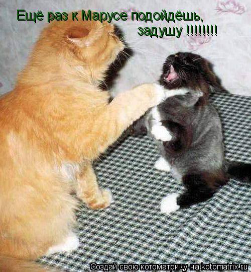 Ещё раз к Марусе подойдёшь, задушу !!!!!!!!... Котоматрица: Ещё раз к Марусе подойдёшь, задушу !!!!!!!!