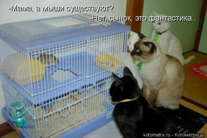 -Мама, а мыши существуют? -Нет, сынок, это фантастика..... Котоматрица: -Мама, а мыши существуют? -Нет, сынок, это фантастика..