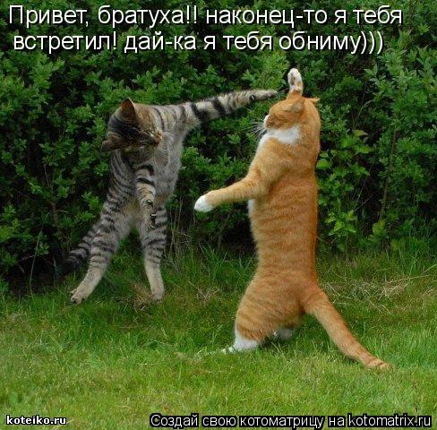 Привет, братуха!! наконец-то я тебя встретил! дай-ка я тебя обниму)))... Котоматрица: Привет, братуха!! наконец-то я тебя встретил! дай-ка я тебя обниму)))