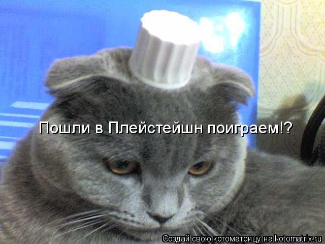 Пошли в Плейстейшн поиграем!?... Котоматрица: Пошли в Плейстейшн поиграем!?