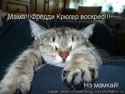Мама!!!Фредди Крюгер воскрес!!! Нэ мамкай!... Котоматрица: Мама!!!Фредди Крюгер воскрес!!! Нэ мамкай!
