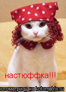 настюффка!!!... Котоматрица: настюффка!!!