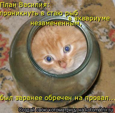 План Василия: проникнуть в стаю рыб в аквариуме незамеченным, был заранее обречен на провал...... Котоматрица: План Василия: проникнуть в стаю рыб в аквариуме незамеченным, был заранее обречен на провал...