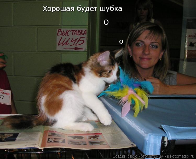 Хорошая будет шубка о О... Котоматрица: Хорошая будет шубка о О