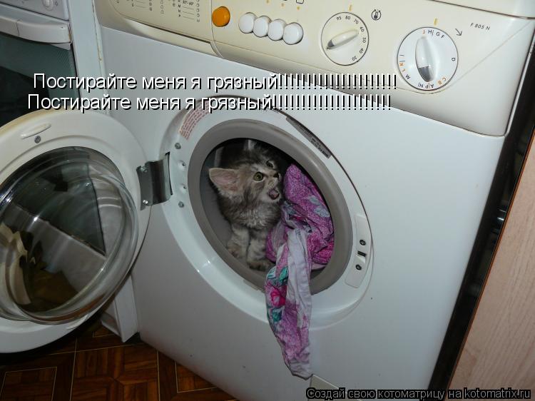 Постирайте меня я грязный!!!!!!!!!!!!!!!!!!!!! Постирайте меня я грязный!!!!!!!!!!!!!!!!!!!!!... Котоматрица: Постирайте меня я грязный!!!!!!!!!!!!!!!!!!!!! Постирайте меня я грязный!!!!!!!!!!!!!!!!!!!!!