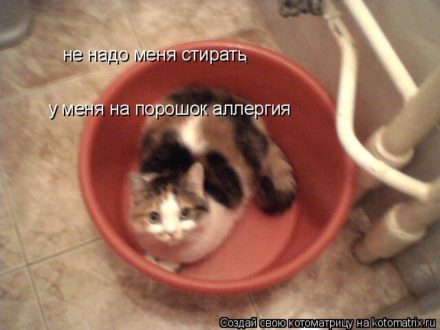 не надо меня стирать у меня на порошок аллергия ,... Котоматрица: не надо меня стирать у меня на порошок аллергия ,