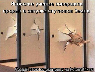 Котоматрица: Японские ученые совершили  прорыв в запуске спутников Земли