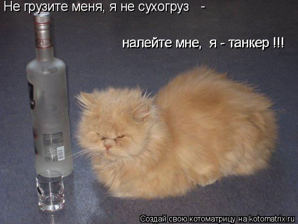 Не грузите меня, я не сухогруз - налейте мне, я - танкер !!! налейте мне, я - танкер !!!... Котоматрица: Не грузите меня, я не сухогруз - налейте мне, я - танкер !!! налейте мне, я - танкер !!!