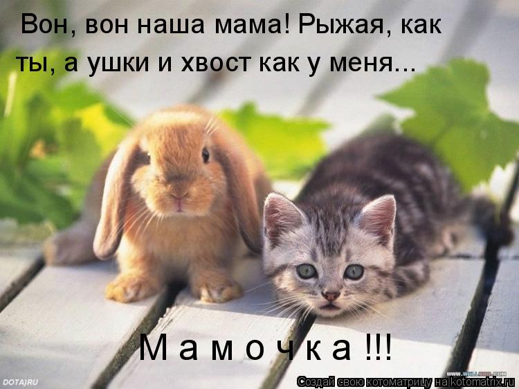 Вон, вон наша мама! Рыжая, как ты, а ушки и хвост как у меня... М а м о ч к а !!!... Котоматрица: Вон, вон наша мама! Рыжая, как ты, а ушки и хвост как у меня... М а м о ч к а !!!