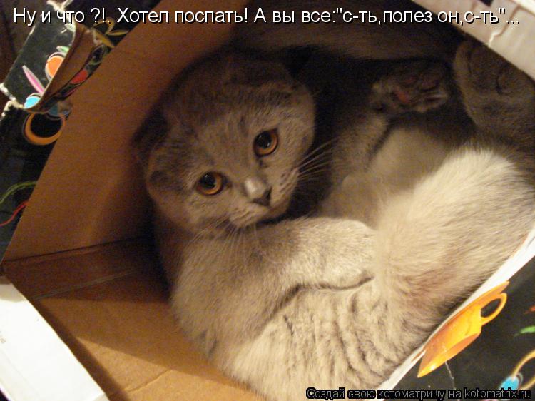 Ну и что ?!. Хотел поспать! А вы все:"с-ть,полез он,с-ть"...... Котоматрица: Ну и что ?!. Хотел поспать! А вы все:"с-ть,полез он,с-ть"...