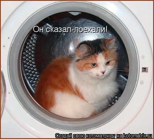 Он сказал-поехали!... Котоматрица: Он сказал-поехали!