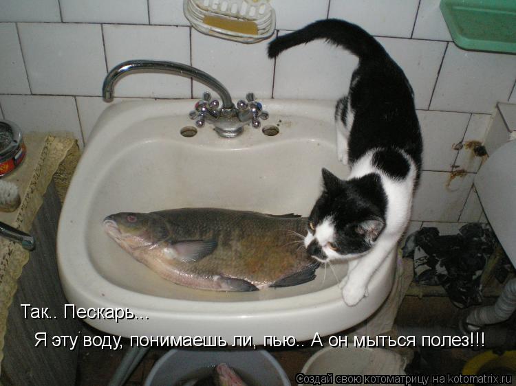 Так.. Пескарь... Я эту воду, понимаешь ли, пью.. А он мыться полез!!!... Котоматрица: Так.. Пескарь... Я эту воду, понимаешь ли, пью.. А он мыться полез!!!