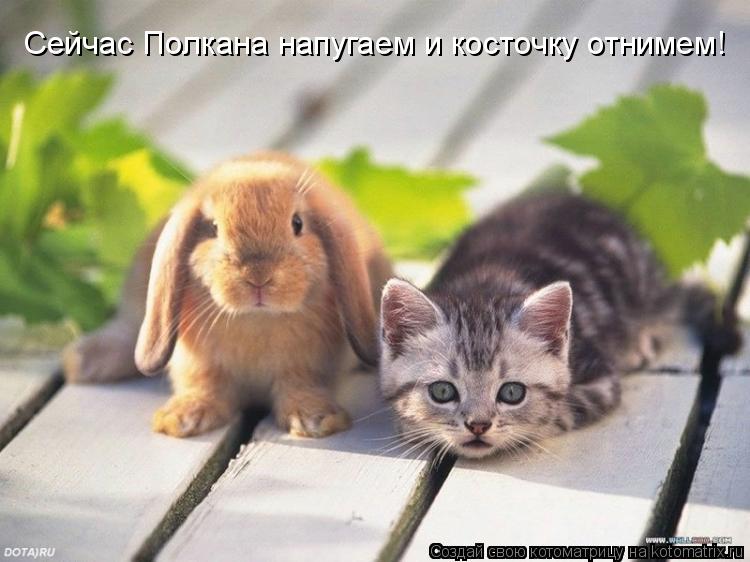 Сейчас Полкана напугаем и косточку отнимем!... Котоматрица: Сейчас Полкана напугаем и косточку отнимем!