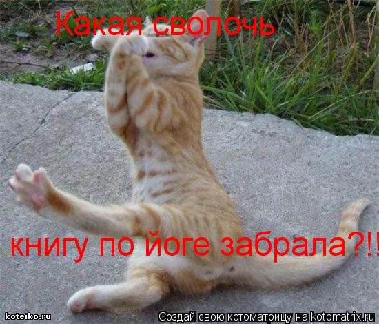 Какая сволочь книгу по йоге забрала?!!!... Котоматрица: Какая сволочь книгу по йоге забрала?!!!