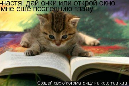 -настя!,дай очки или открой окно мне ещё последнию главу... Котоматрица: -настя!,дай очки или открой окно мне ещё последнию главу