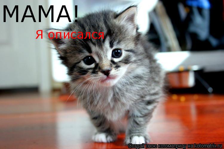 МАМА! Я описался... Котоматрица: МАМА! Я описался