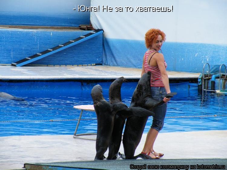 - Юнга! Не за то хватаешь!... Котоматрица: - Юнга! Не за то хватаешь!
