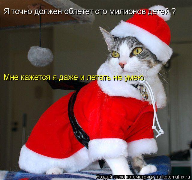 Я точно должен облетет сто милионов детей ? Мне кажется я даже и летать не умею.... Котоматрица: Я точно должен облетет сто милионов детей ? Мне кажется я даже и летать не умею.