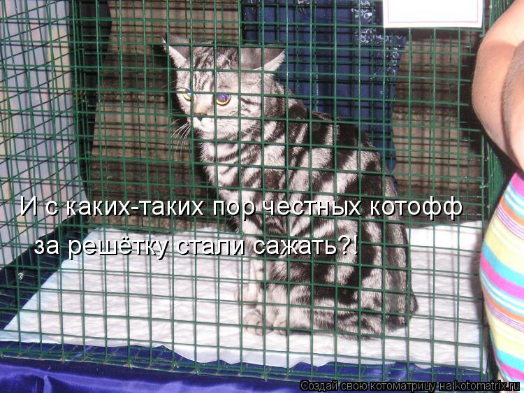 И с каких-таких пор честных котофф за решётку стали сажать?!... Котоматрица: И с каких-таких пор честных котофф за решётку стали сажать?!