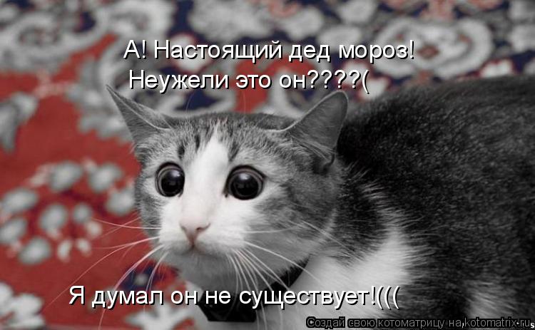 А! Настоящий дед мороз! Я думал он не существует!((( Неужели это он????(... Котоматрица: А! Настоящий дед мороз! Я думал он не существует!((( Неужели это он????(