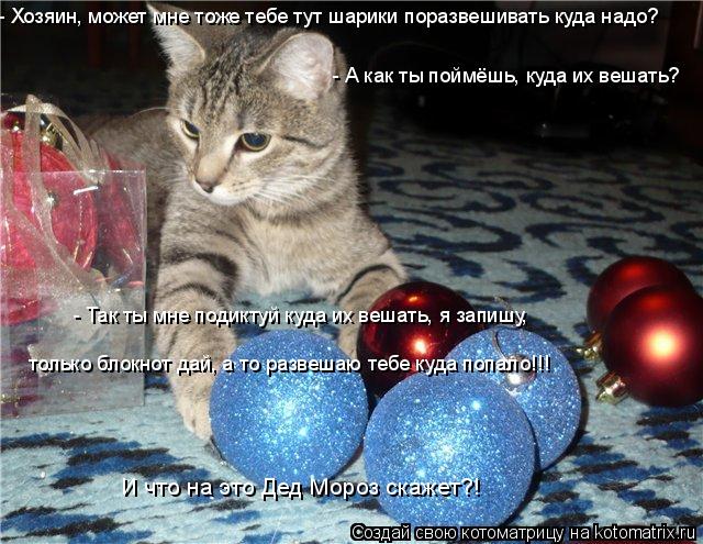 - Хозяин, может мне тоже тебе тут шарики поразвешивать куда надо? - А как ты поймёшь, куда их вешать?... Котоматрица: - Хозяин, может мне тоже тебе тут шарики поразвешивать куда надо? - А как ты поймёшь, куда их вешать? - Так ты мне подиктуй куда их вешать, я зап