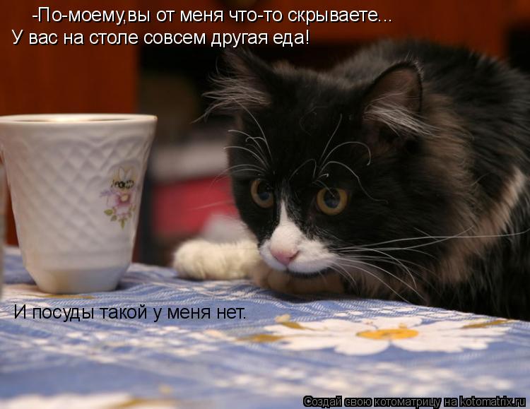 -По-моему,вы от меня что-то скрываете... У вас на столе совсем другая еда! И посуды такой у меня нет... Котоматрица: -По-моему,вы от меня что-то скрываете... У вас на столе совсем другая еда! И посуды такой у меня нет.