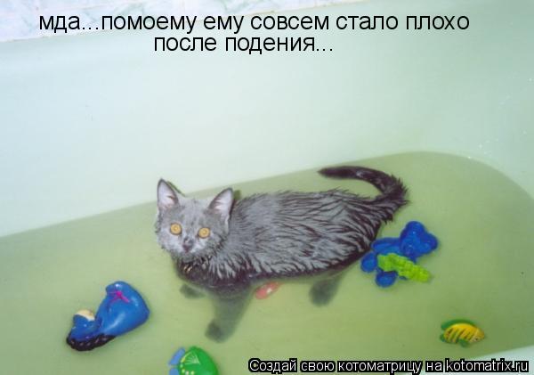мда...помоему ему совсем стало плохо после подения...... Котоматрица: мда...помоему ему совсем стало плохо после подения...