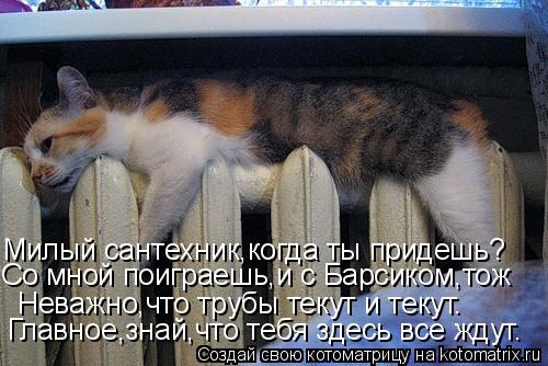 Милый сантехник,когда ты придешь? Неважно,что трубы текут и текут. Главное,знай,что тебя здесь все жд... Котоматрица: Милый сантехник,когда ты придешь? Неважно,что трубы текут и текут. Главное,знай,что тебя здесь все ждут. Со мной поиграешь,и с Барсиком,тож