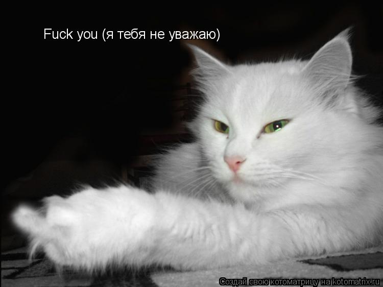 Fuck you (я тебя не уважаю)... Котоматрица: Fuck you (я тебя не уважаю)