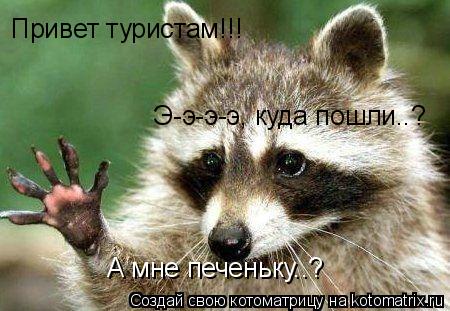 Привет туристам!!! Э-э-э-э, куда пошли..? А мне печеньку..?... Котоматрица: Привет туристам!!! Э-э-э-э, куда пошли..? А мне печеньку..?