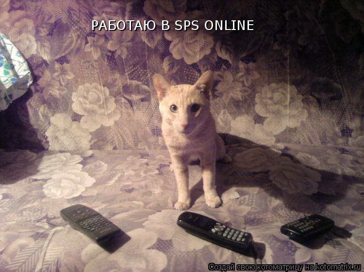 РАБОТАЮ В SPS ONLINE... Котоматрица: РАБОТАЮ В SPS ONLINE