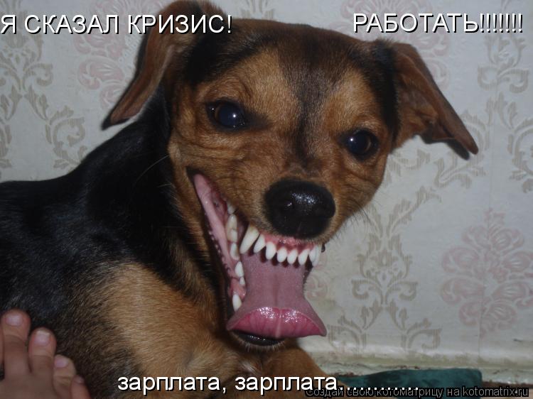 Я СКАЗАЛ КРИЗИС! РАБОТАТЬ!!!!!!! зарплата, зарплата............... Котоматрица: Я СКАЗАЛ КРИЗИС! РАБОТАТЬ!!!!!!! зарплата, зарплата............