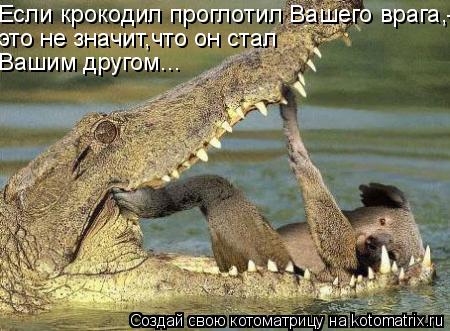 Если крокодил проглотил Вашего врага,- это не значит,что он стал Вашим другом...... Котоматрица: Если крокодил проглотил Вашего врага,- это не значит,что он стал Вашим другом...