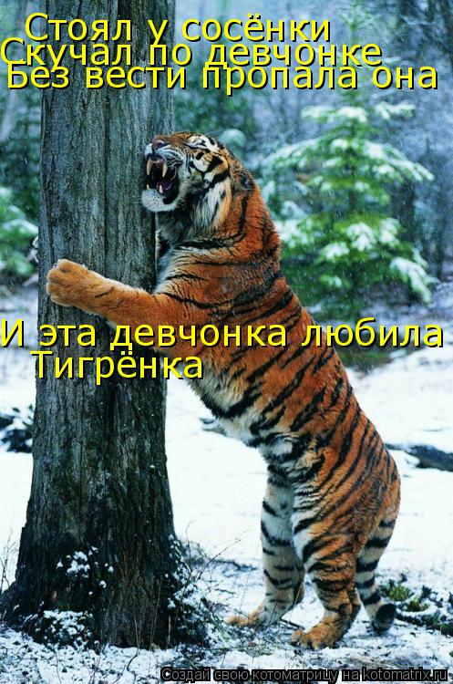 Стоял у сосёнки Скучал по девчонке Без вести пропала она И эта девчонка любила Тигрёнка... Котоматрица: Стоял у сосёнки Скучал по девчонке Без вести пропала она И эта девчонка любила Тигрёнка