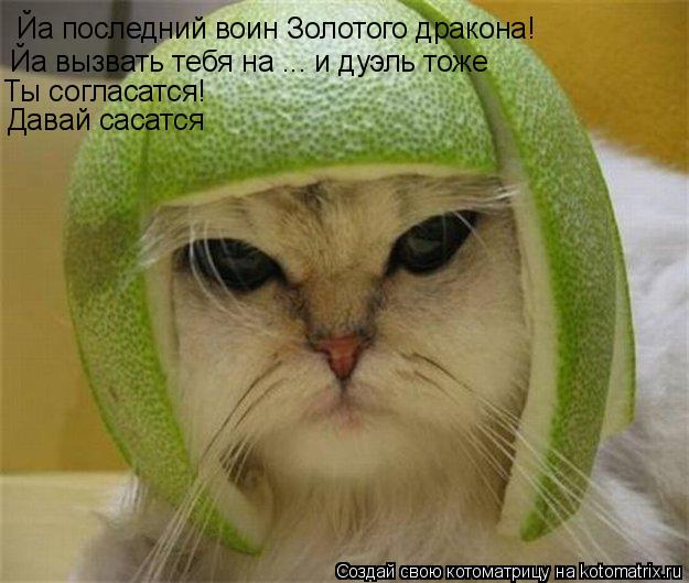 Йа последний воин Золотого дракона! Йа вызвать тебя на ... и дуэль тоже Ты согласатся! Давай сасатся... Котоматрица: Йа последний воин Золотого дракона! Йа вызвать тебя на ... и дуэль тоже Ты согласатся! Давай сасатся