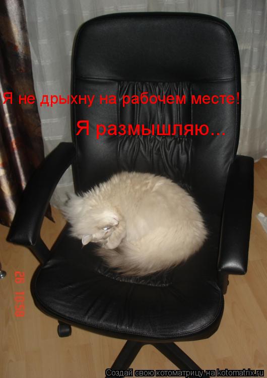 Я не дрыхну на рабочем месте! Я размышляю...... Котоматрица: Я не дрыхну на рабочем месте! Я размышляю...